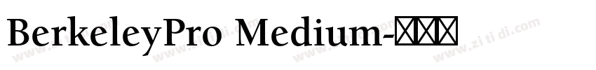 BerkeleyPro Medium字体转换 BerkeleyPro Medium字体转换
